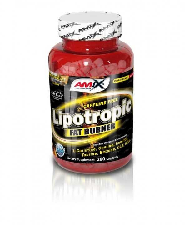 Amix Lipotropic 100 kapslí